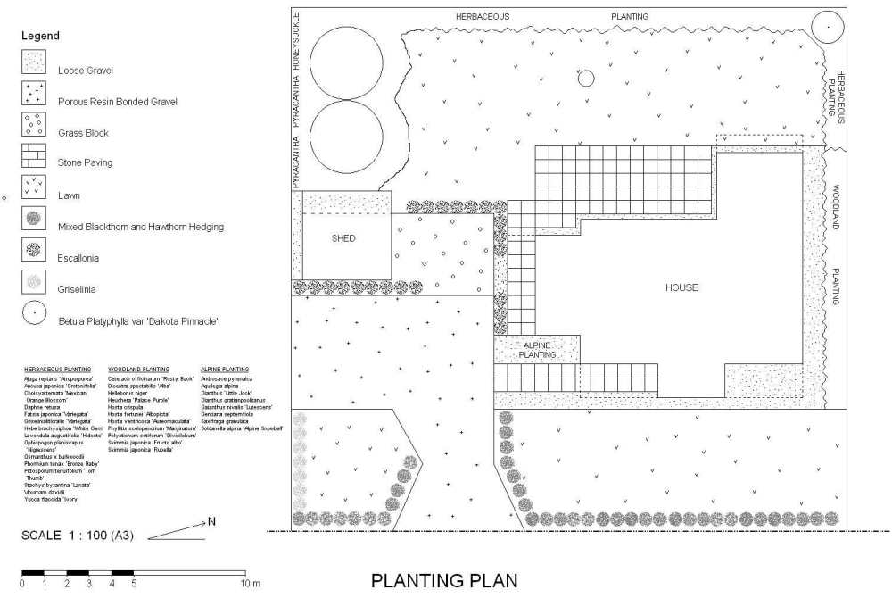 PlantingPlanFinal.thumb.jpg.8f0a9abb19de5c40b3b0b7d659086398.jpg