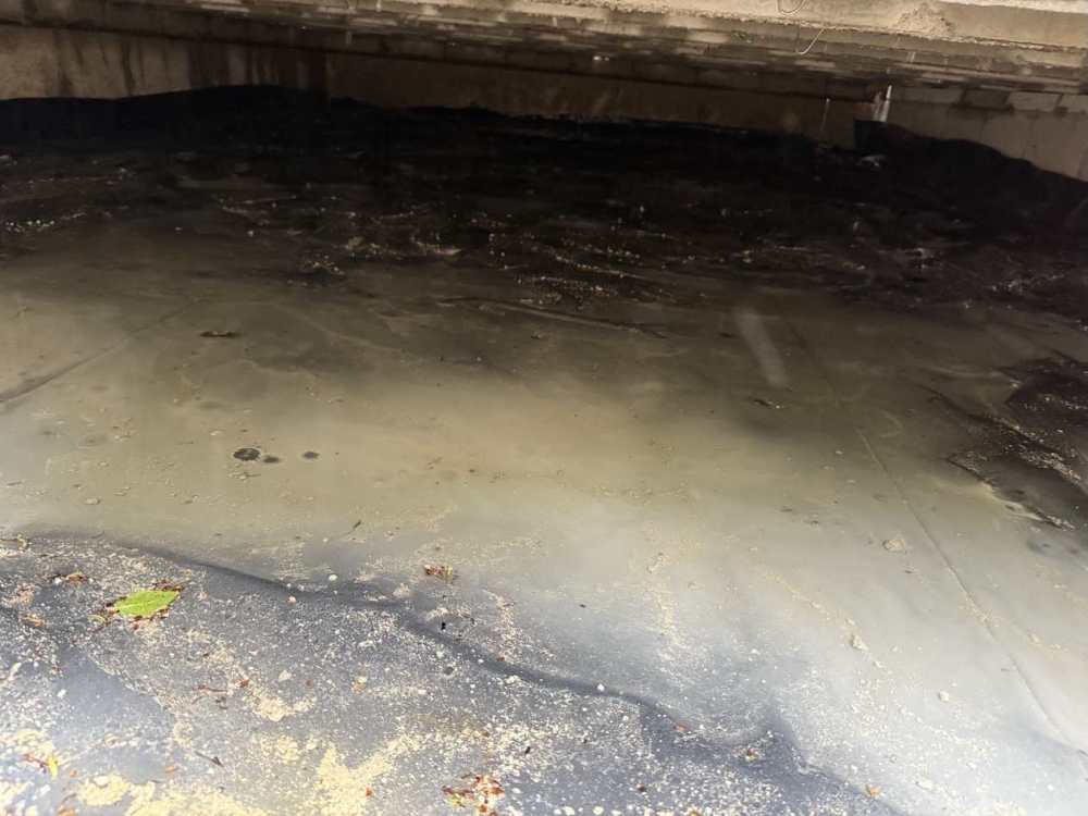 subfloor2.thumb.jpg.dee13c32abe812882ccbf6bd841c5a7d.jpg