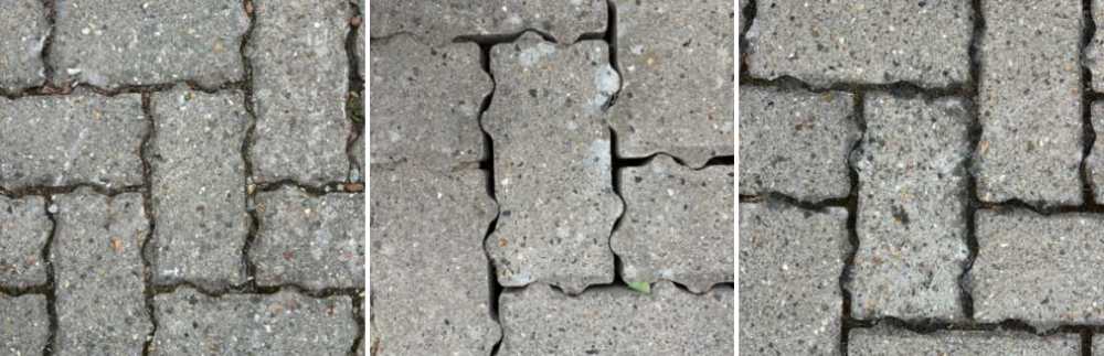 IMG_1083.jpeg