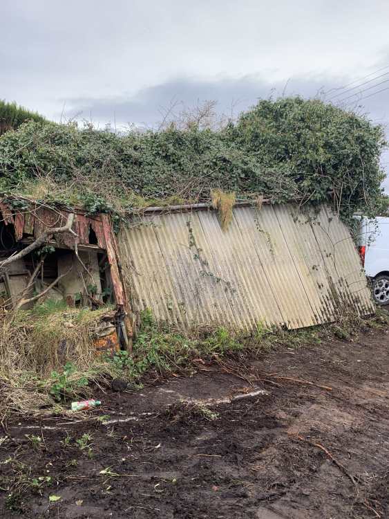IMG_9575.thumb.jpeg.c0f263c5b6e98229f3a2e307af49cf69.jpeg