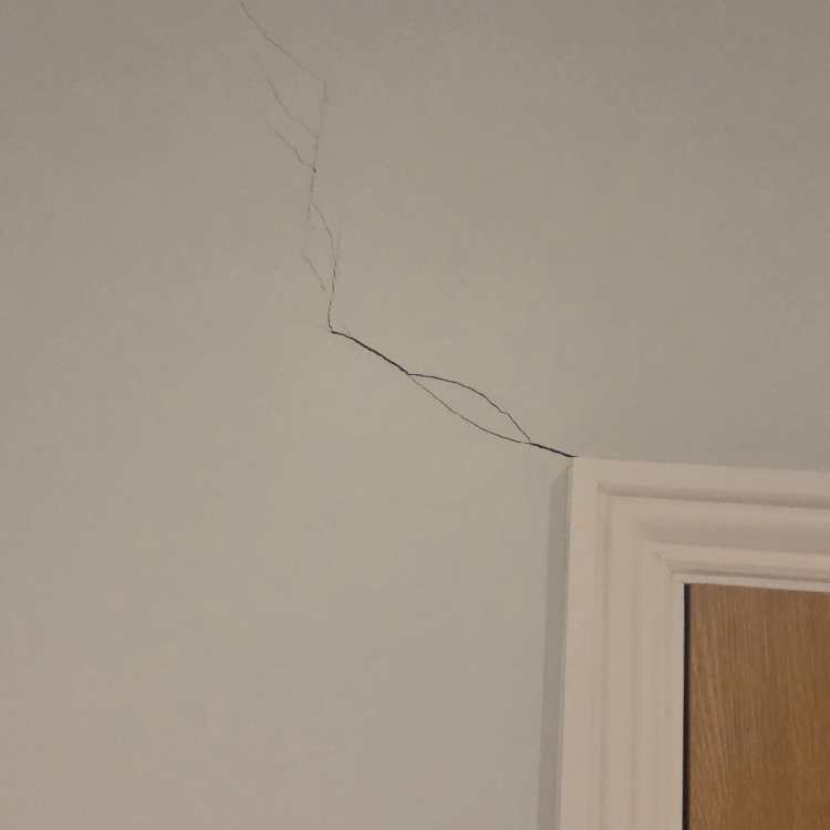 20251007_184713.jpg