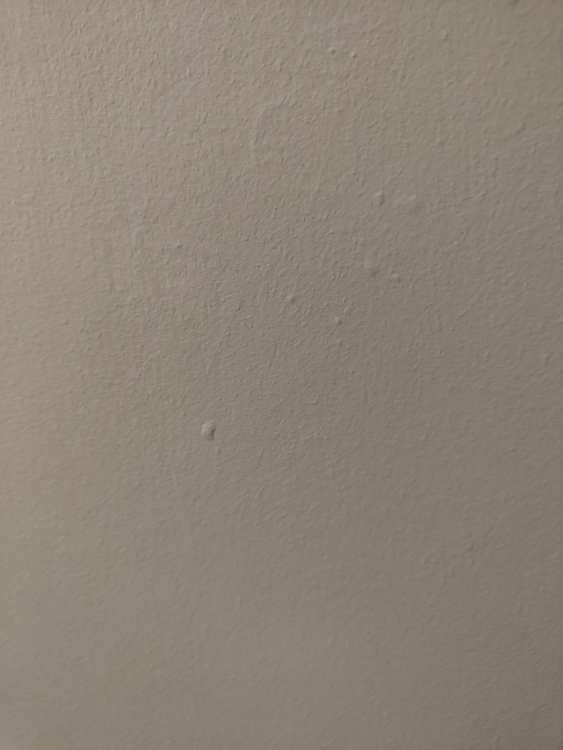 IMG20251119213028.jpg