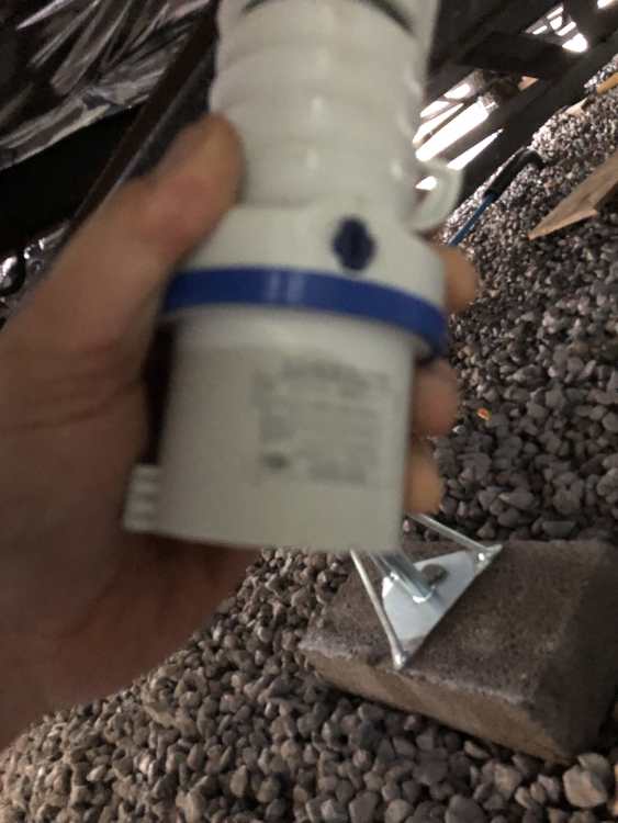 IMG_6121.thumb.jpeg.f9cc1e98bef3a55734768e5da7ee695d.jpeg