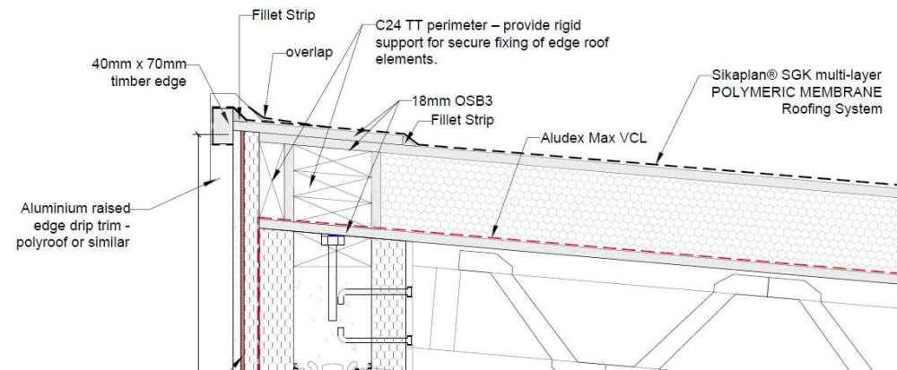 NewRoofDetail.thumb.jpg.d67922ea7910683e95ff39eb3345402f.jpg