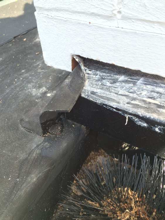 Roof3.thumb.JPG.7521e176a732b8102df62ee08141b1a5.JPG