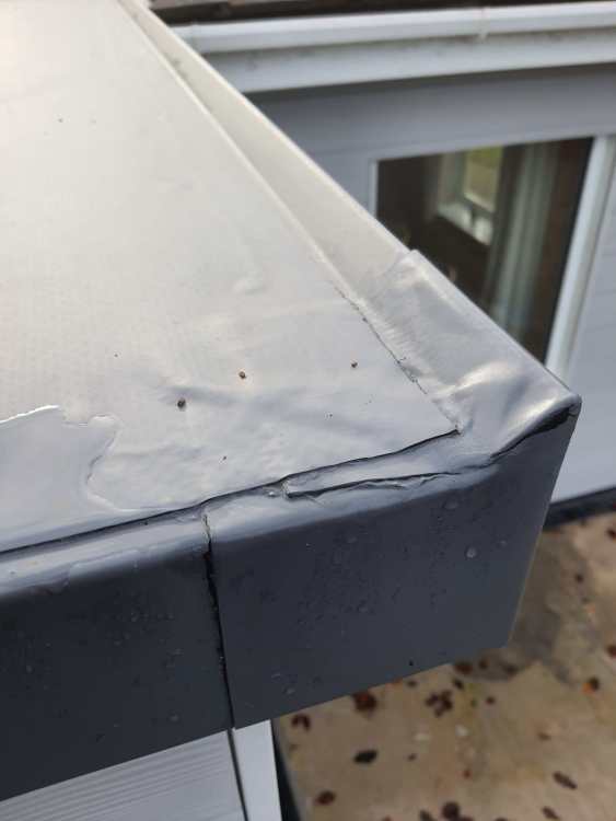 Roof3.thumb.jpg.d68f2554140c96444f9f6c2d5c02904a.jpg