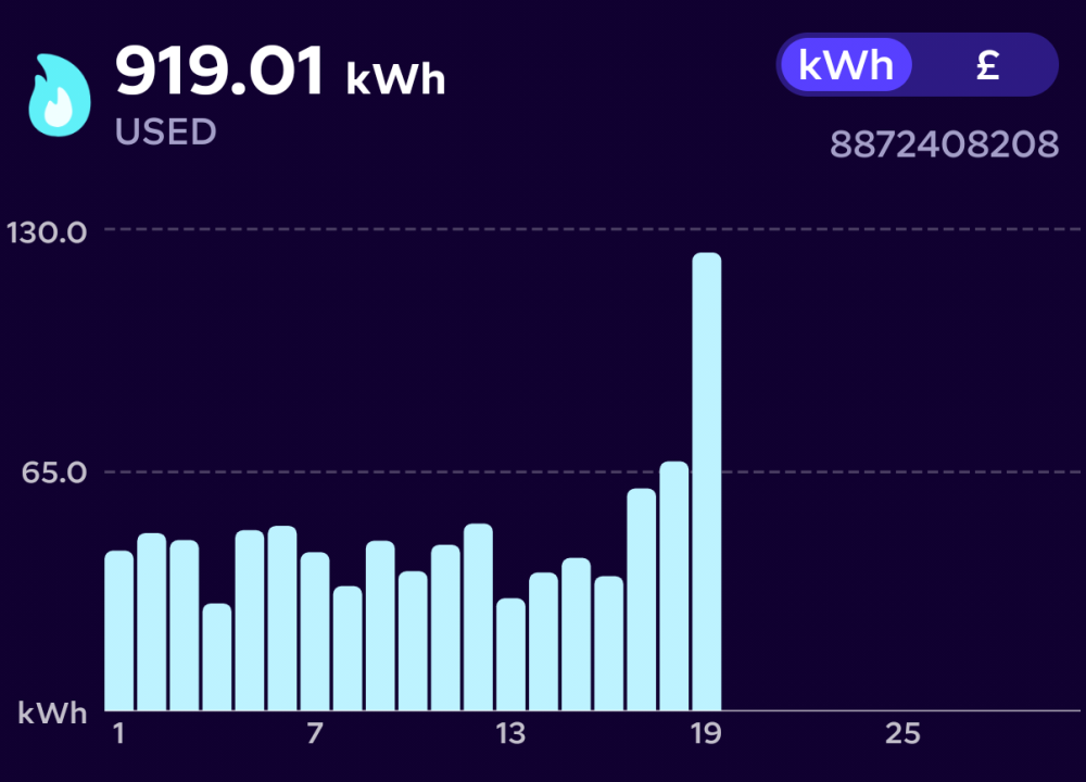 Screenshot_2025-11-21-17-30-14-228_energy.octopus.octopusenergy.android.thumb.png.9483afd35f227d842982e6f7685d5ce0.png
