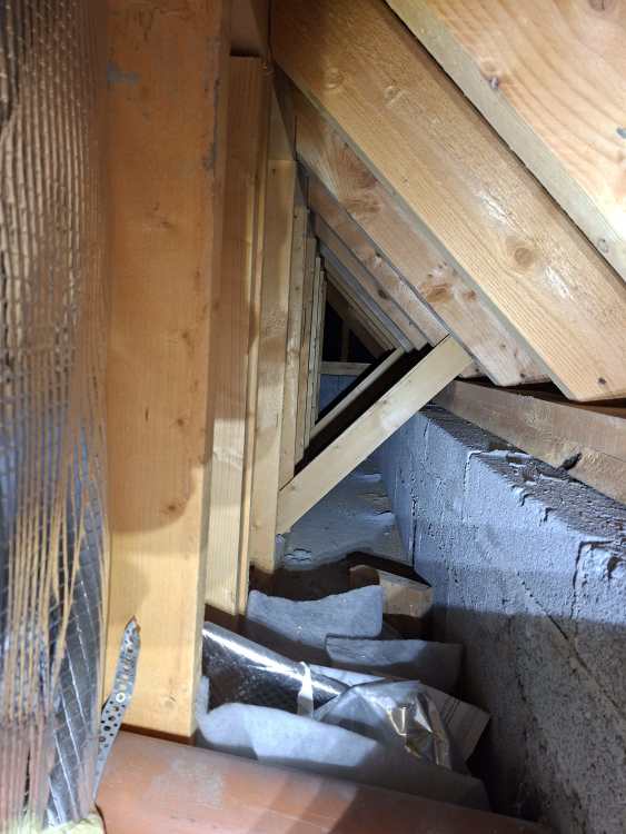 1000026230.thumb.jpg.4f792e28f8b82729435261ed5558a4cc.jpg
