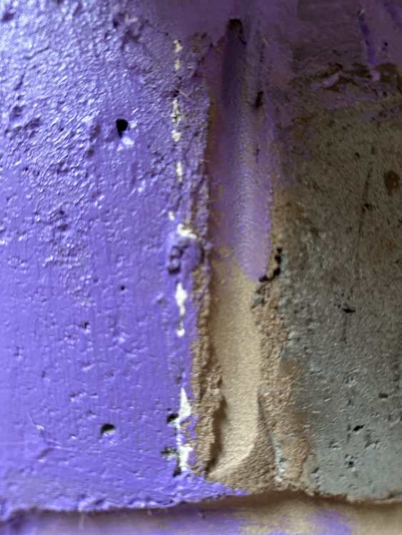 IMG_3409.thumb.jpeg.0d4df3b8a68912a27ee7da718752c39e.jpeg