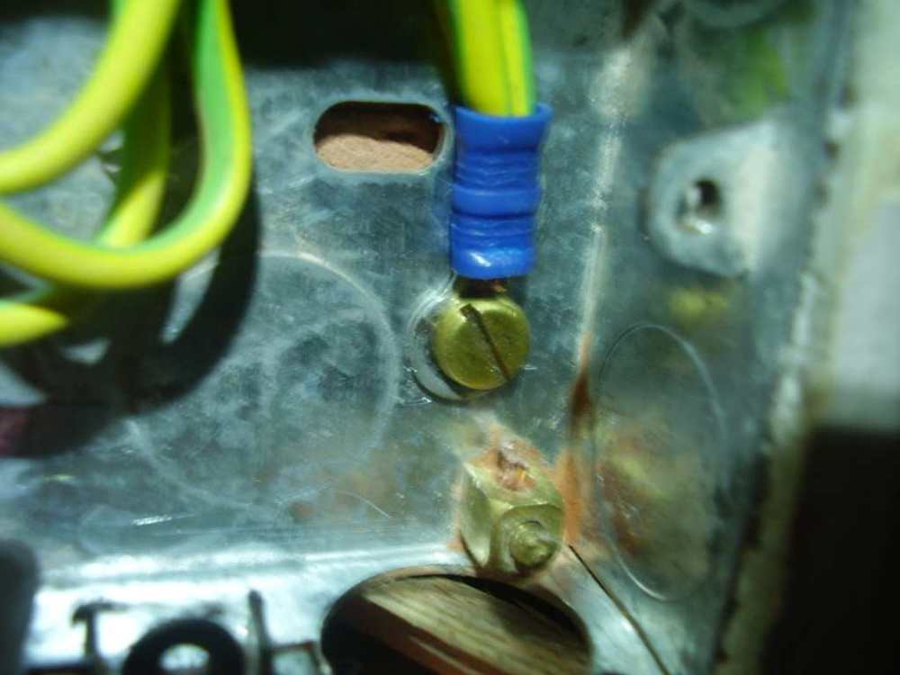 ee17b6a7-96bf-4424-8b72-106e35225060.thumb.jpg.548a8a00391ec7a7cfa00317121ef18b.jpg
