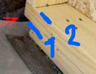 image.png.bda32c9b2aa53e8d69a1da8dd783b280.png