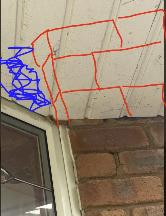 image.thumb.png.feef6921195374dcecda1f295b08217c.png