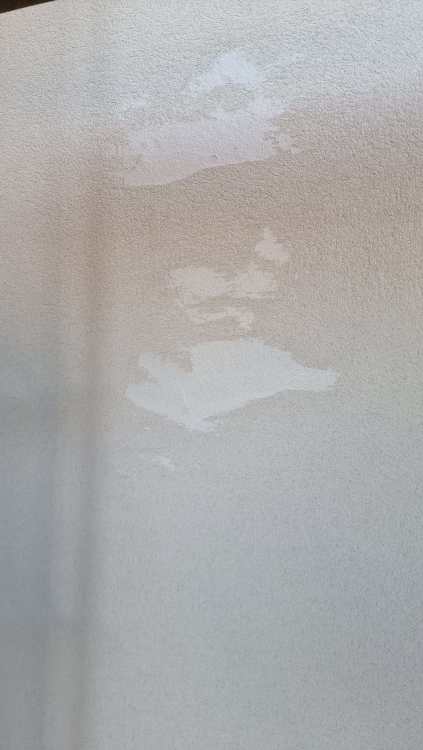 20260115_111956.thumb.jpg.d67f46a8945ea74759590e67d532b93a.jpg