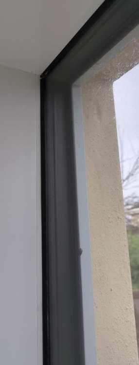 image.thumb.jpeg.a715ccc46a4f1ecd086ad1bf978d1b85.jpeg