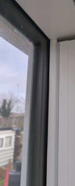 image.thumb.jpeg.c945e2f7b7b1b22eb599d9d930c05da6.jpeg