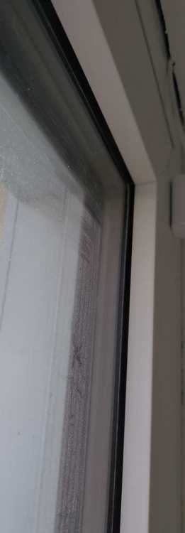image.thumb.jpeg.e49c2be973c4ecdd00aaf4d21c067265.jpeg