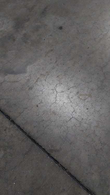 20260115_150048.thumb.jpg.6c2f1bd77d997a999e5a33887f2ec08e.jpg