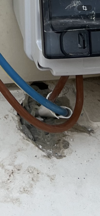 IMG_3189.thumb.png.f08b85df80aa043eba0f11b67feb8ed6.png