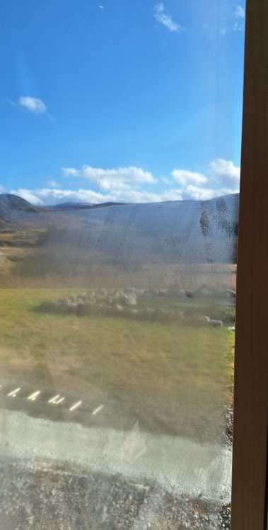 Window3.thumb.jpg.88e830643df774066a73b4206a714b78.jpg