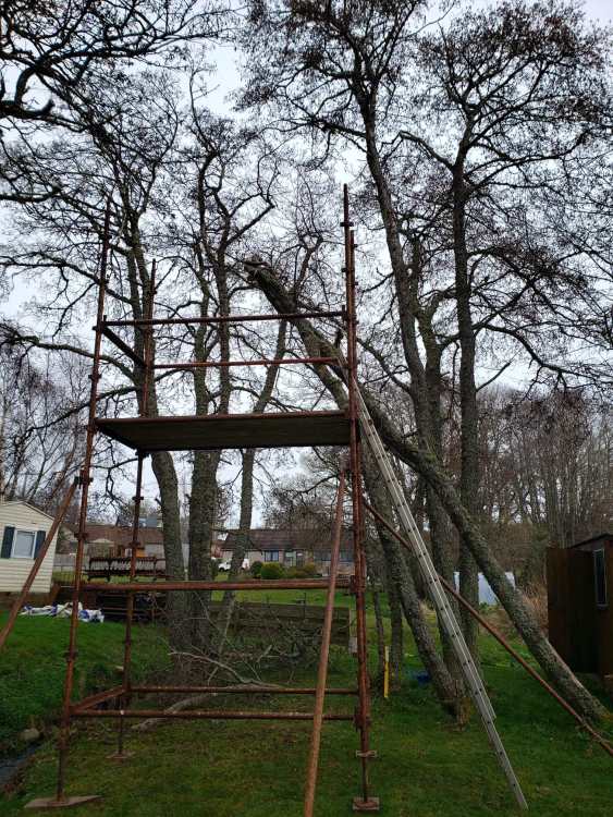 WhatsAppImage2026-04-02at4_32.11PM(1).thumb.jpeg.f9690a6b9650ee5dd5576825af739467.jpeg
