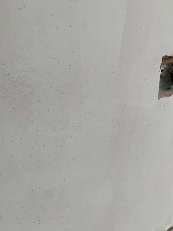 FloorPrimerSpecks.jpg