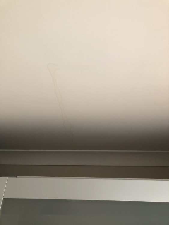 IMG_4477.thumb.jpeg.ec2ec3bc658ae08cc0432f71b9f142d5.jpeg