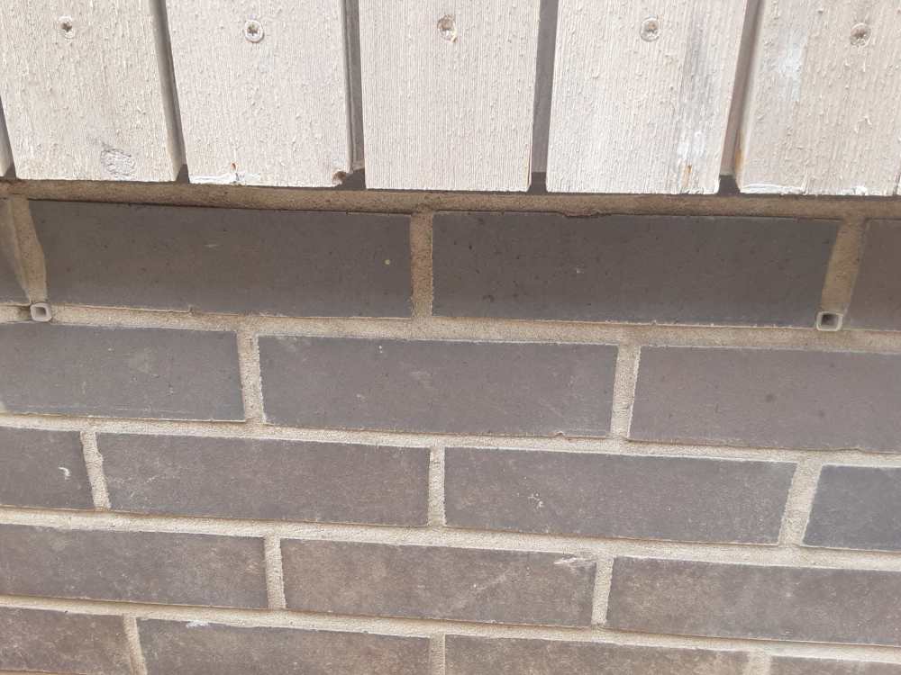 20260722_102307.jpg